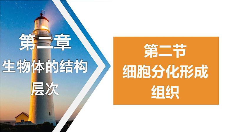 1.2.2细胞分化成组织课件-2023-2024学年冀少版生物七年级上册第1页