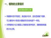 1.2.2细胞分化成组织课件+2023-2024学年冀少版生物七年级上册