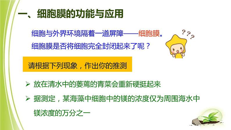 1.2.1-3细胞各部分的功能课件+-2023-2024学年冀少版生物七年级上册03