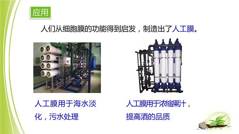1.2.1-3细胞各部分的功能课件+-2023-2024学年冀少版生物七年级上册07