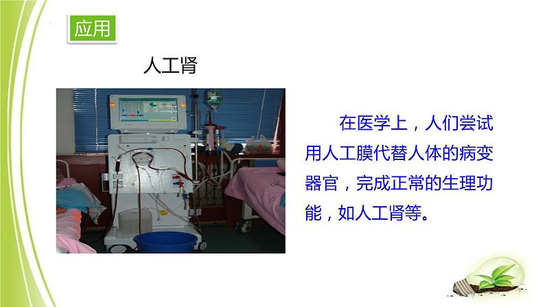 1.2.1-3细胞各部分的功能课件+-2023-2024学年冀少版生物七年级上册08