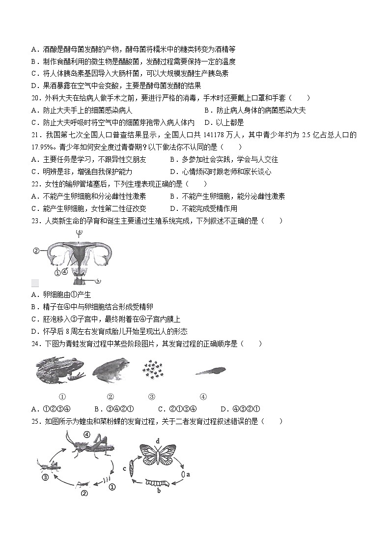 广东省湛江市徐闻县2023—2024学年八年级上学期期末教学调研测试生物试卷第3页