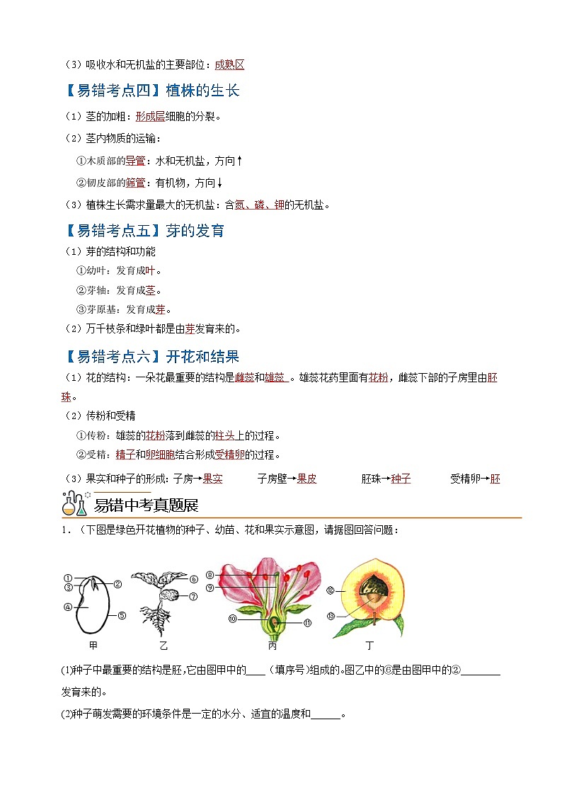 易错点04  被子植物的一生-中考生物考试易错题第2页
