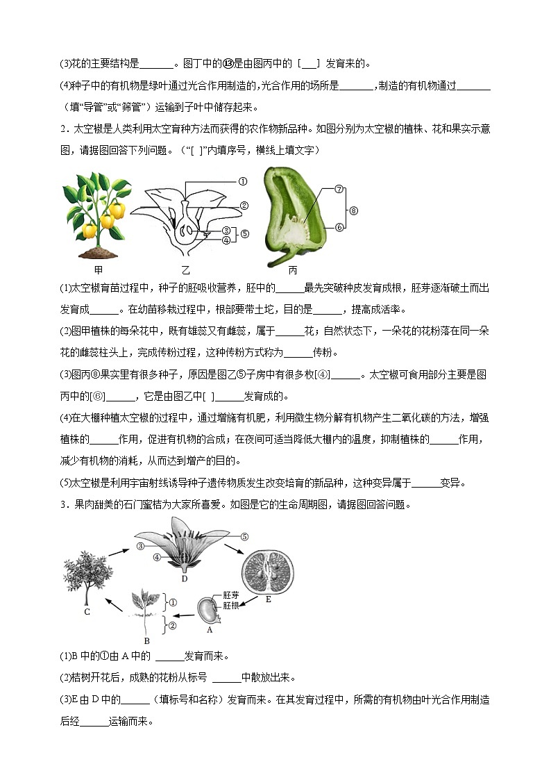 易错点04  被子植物的一生-中考生物考试易错题第3页
