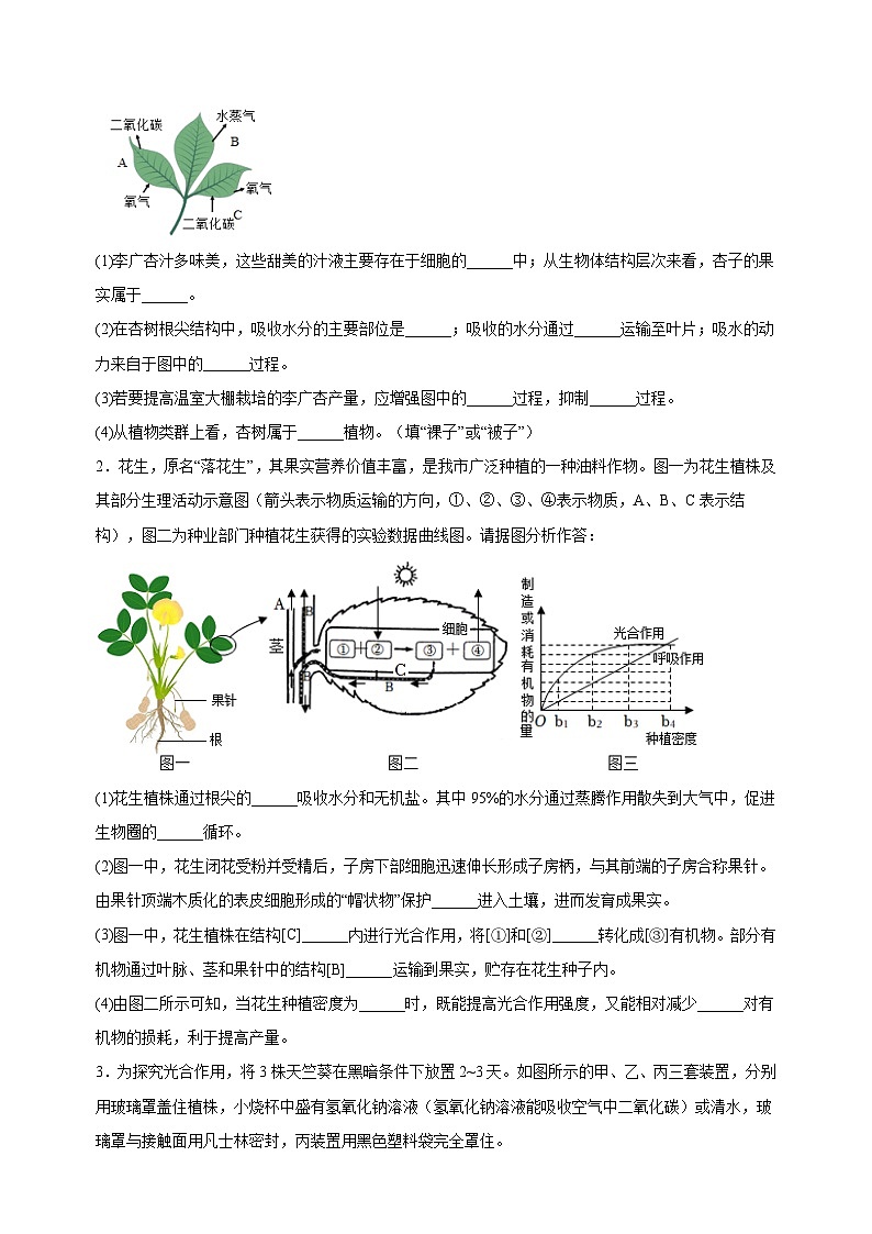 易错点03  绿色植物的三大生理作用-中考生物考试易错题第3页