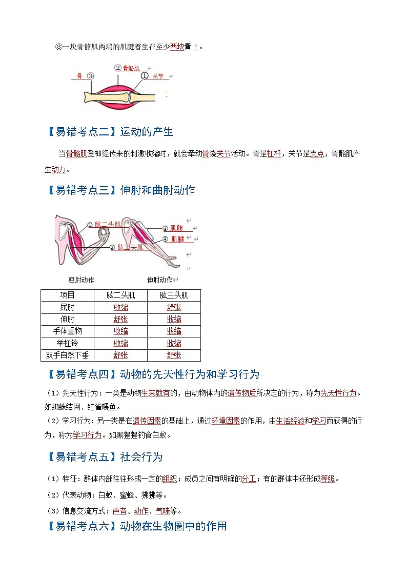 易错点07  动物的运动和行为-中考生物考试易错题02