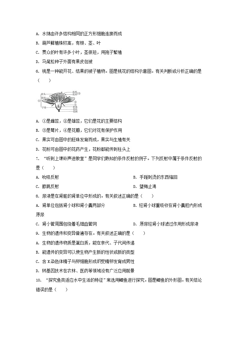 2022年江苏连云港中考生物真题及答案02