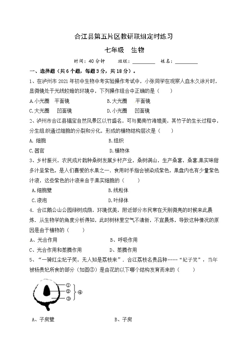 四川省泸州市合江县第五片区2021-2022学年七年级上学期联合考试生物试题（月考）01