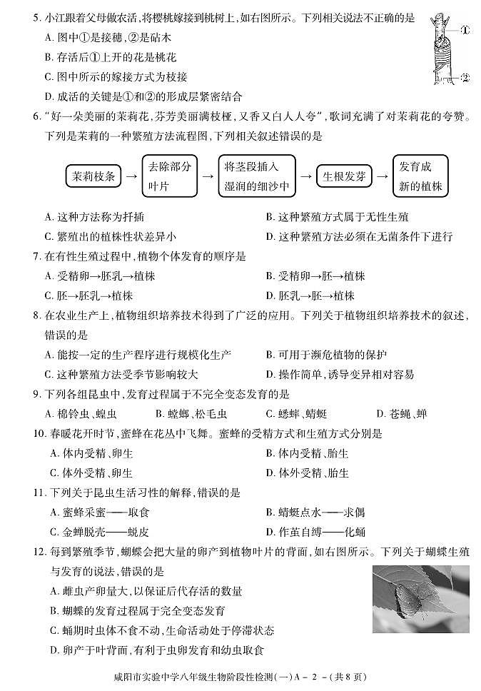 陕西省咸阳市实验中学2021-2022学年八年级下学期阶段检测（月考）（一）生物试题02