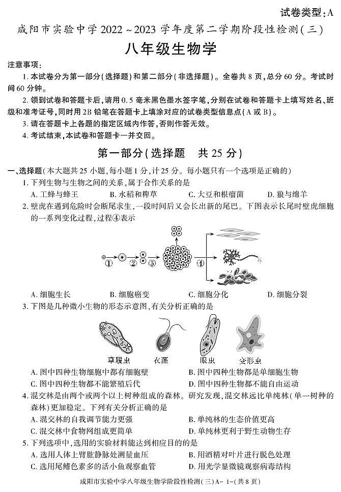 陕西省咸阳市实验中学2022-2023学年八年级下学期阶段检测（月考）（三）生物试题01