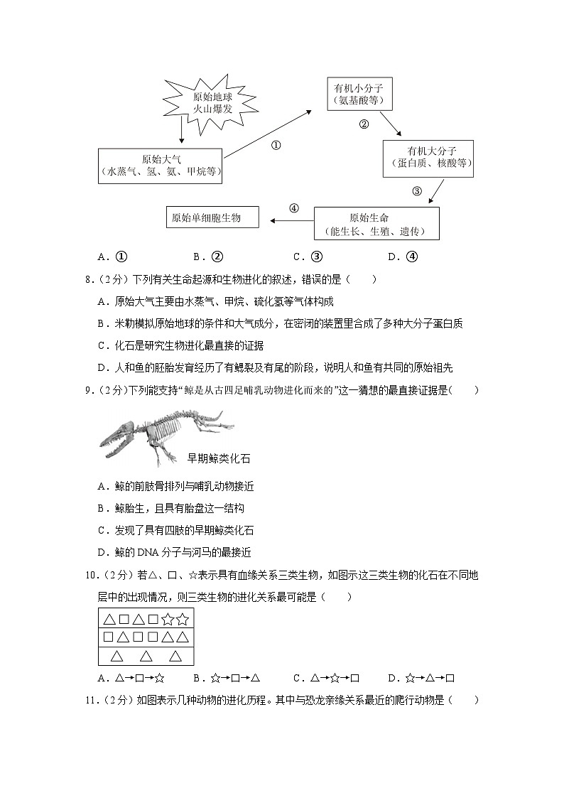 山东省济宁市曲阜市2023-2024学年八年级上学期期末生物试卷03