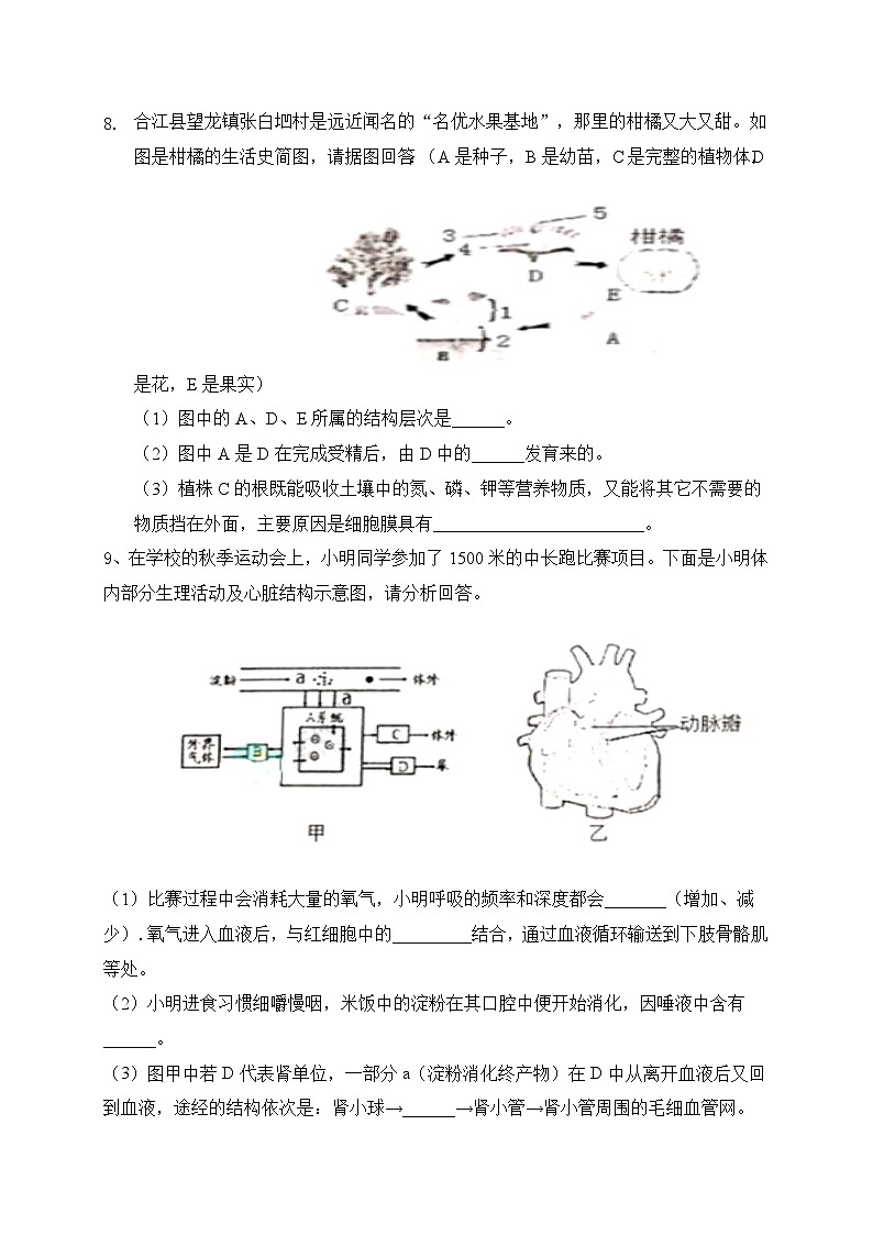 四川省泸州市合江县第五片区2021-2022学年九年级上学期联合考试生物试题（月考）03