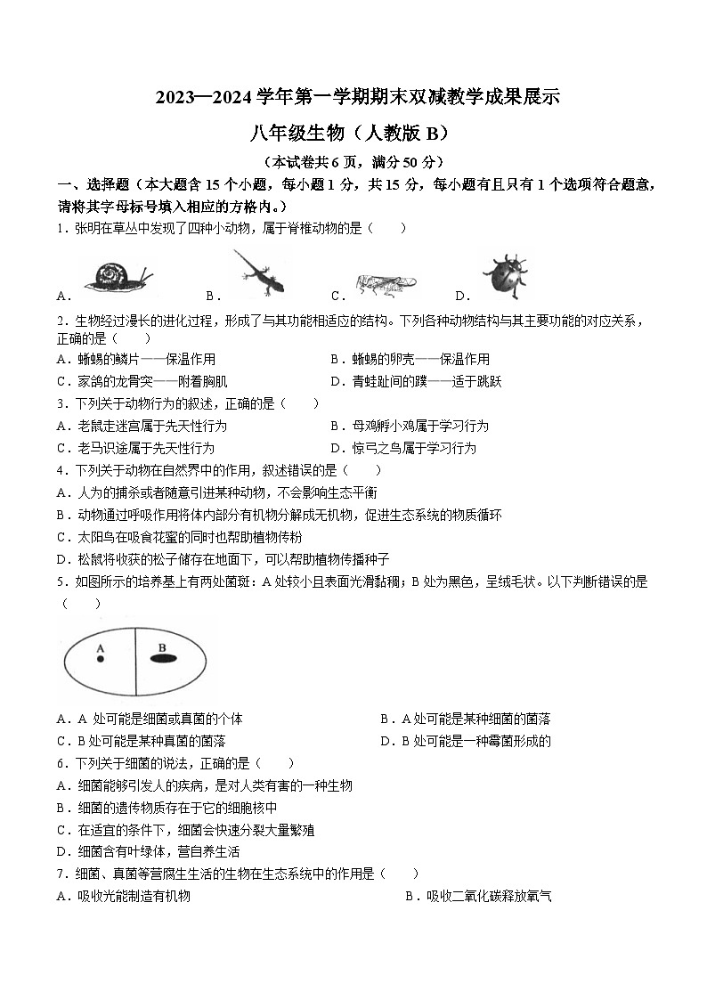 山西省忻州地区2023-2024学年八年级上学期期末双减效果展示生物试卷01