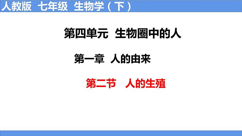 人教版生物七年级下册 4.1.2 人的生殖 同步课件第1页