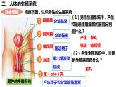 人教版生物七年级下册 4.1.2 人的生殖 同步课件+视频素材