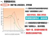 人教版生物七年级下册 4.1.3 青春期 同步课件