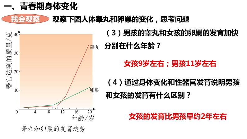 人教版生物七年级下册 4.1.3 青春期 同步课件05