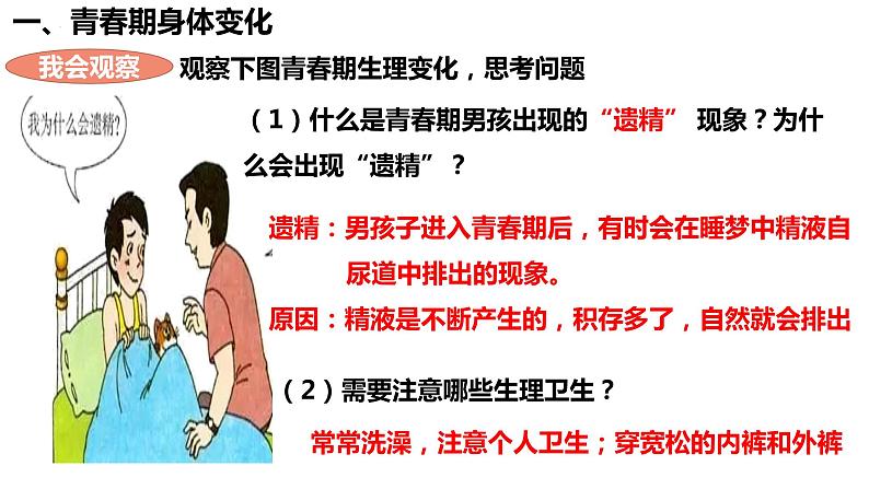 人教版生物七年级下册 4.1.3 青春期 同步课件08