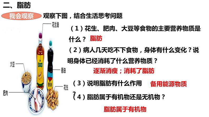 人教版生物七年级下册 4.2.1 食物中的营养物质（第1课时） 同步课件+视频素材05