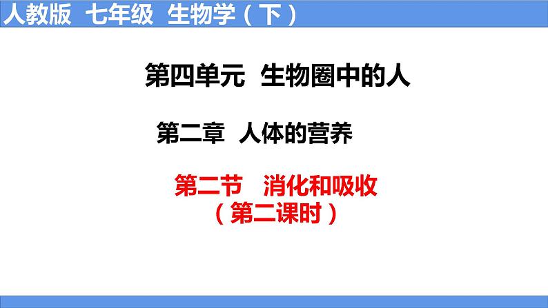 人教版生物七年级下册 4.2.2 消化和吸收（第2课时） 同步课件+视频素材01