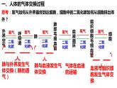 人教版生物七年级下册 4.3.2 发生在肺内的气体交换 同步课件+视频素材