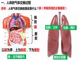人教版生物七年级下册 4.3.2 发生在肺内的气体交换 同步课件+视频素材