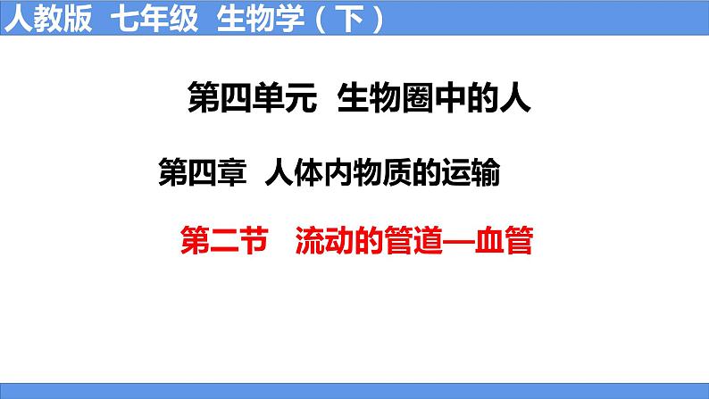 人教版生物七年级下册 4.4.2 血流的管道—血管 同步课件+视频素材01