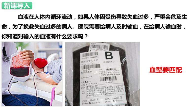 人教版生物七年级下册 4.4.4 输血与血型 同步课件+视频素材02