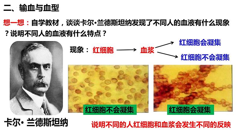 人教版生物七年级下册 4.4.4 输血与血型 同步课件+视频素材05