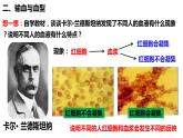 人教版生物七年级下册 4.4.4 输血与血型 同步课件+视频素材