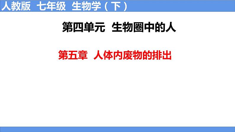 人教版生物七年级下册 4.5 人体内废物的排出 同步课件第1页