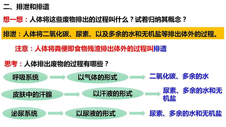 人教版生物七年级下册 4.5 人体内废物的排出 同步课件第4页