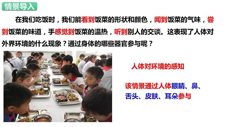 人教版生物七年级下册 4.6.1 人体对外界环境的感知 同步课件第2页