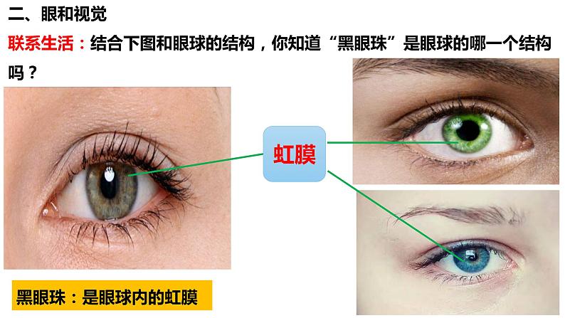 人教版生物七年级下册 4.6.1 人体对外界环境的感知 同步课件第6页