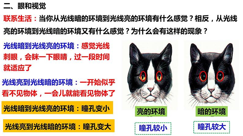 人教版生物七年级下册 4.6.1 人体对外界环境的感知 同步课件第8页