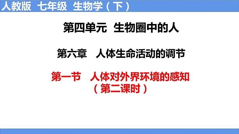 人教版生物七年级下册 4.6.1 人体对外界环境的感知（第2课时） 同步课件+视频素材01