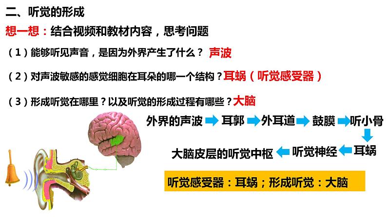 人教版生物七年级下册 4.6.1 人体对外界环境的感知（第2课时） 同步课件+视频素材05