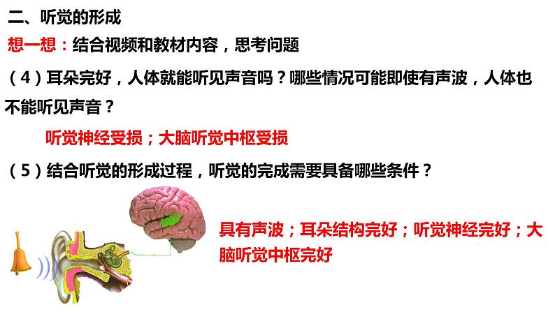 人教版生物七年级下册 4.6.1 人体对外界环境的感知（第2课时） 同步课件+视频素材06