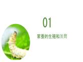 人教版生物八年级下册 7.1.2 昆虫的生殖和发育 同步课件