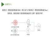 人教版生物八年级下册 7.2.3 基因的显性和隐性 同步课件