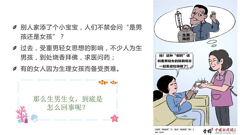 人教版生物八年级下册 7.2.4 人的性别遗传 同步课件05