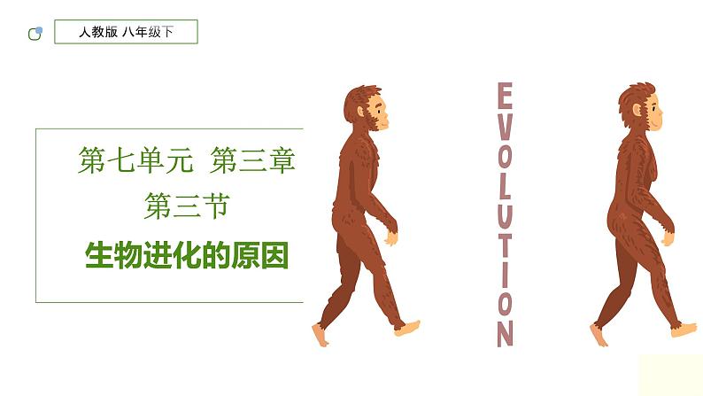 人教版生物八年级下册 7.3.3 生物进化的原因 同步课件第1页