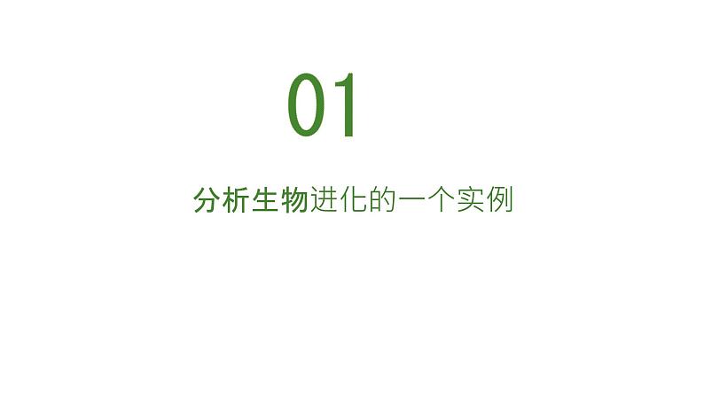 人教版生物八年级下册 7.3.3 生物进化的原因 同步课件第5页