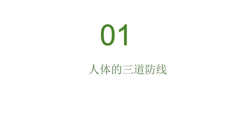 人教版生物八年级下册 8.1.2 免疫与计划免疫 同步课件06