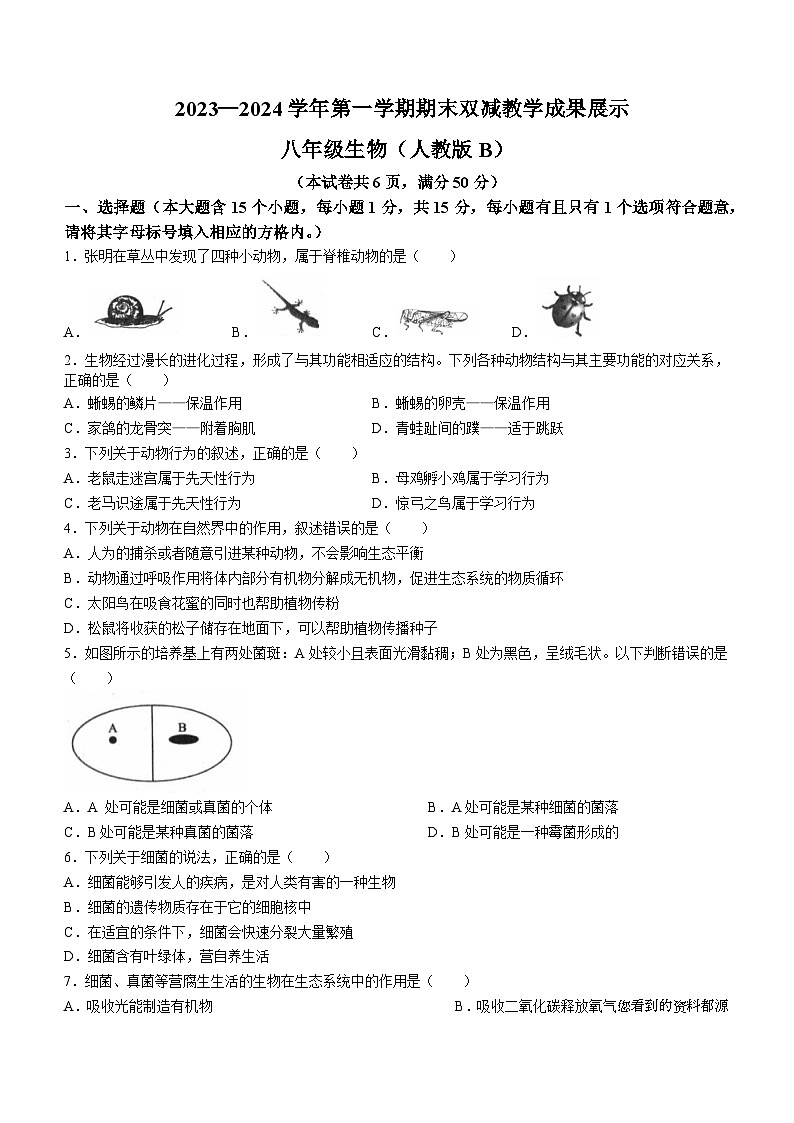 山西省忻州地区2023-2024学年八年级上学期期末双减效果展示生物试卷01