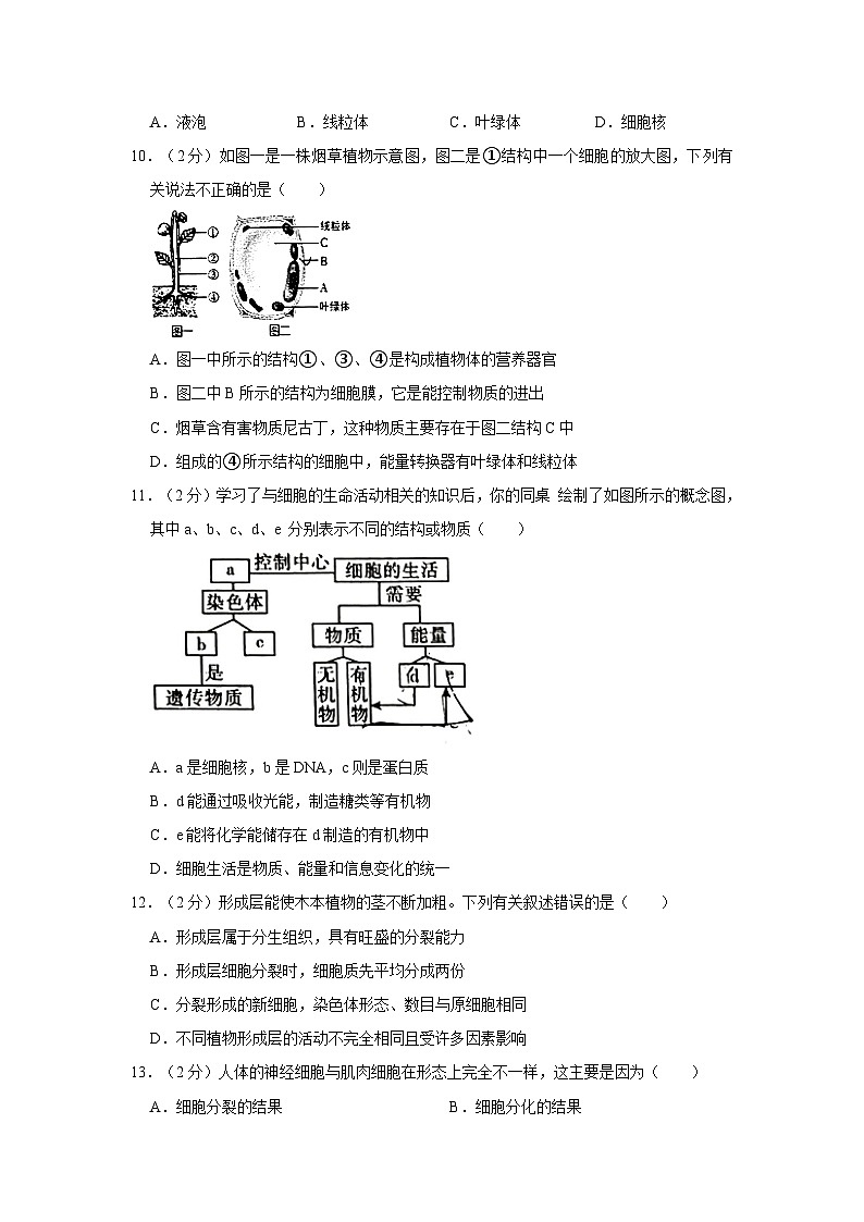 四川省德阳市中江县2023-2024学年七年级上学期期末生物试卷第3页