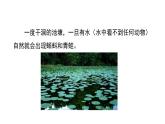 21.1++生命的起源++课件-2023-2024学年北师大版生物八年级下册