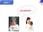 4.1.2++人的生殖++课件-2023-2024学年人教版生物七年级下册