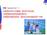 4.1.2++人的生殖++课件-2023-2024学年人教版生物七年级下册