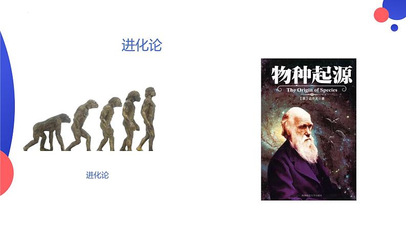 4.1.1 人类的起源和发展 课件-2023-2024学年人教版生物七年级下册第5页